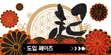 도입