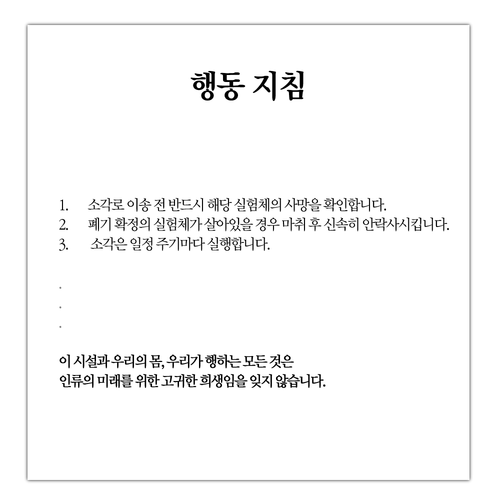 행동지침