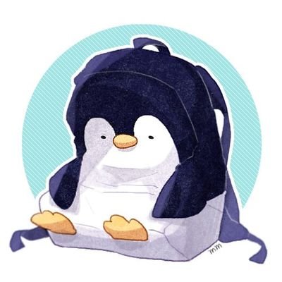 플사