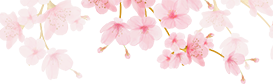 유람 이미지