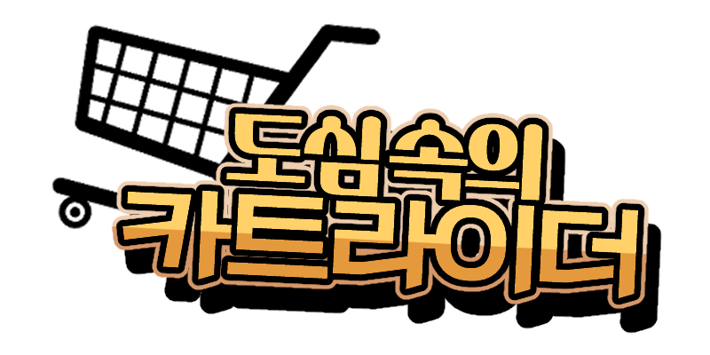 타이포