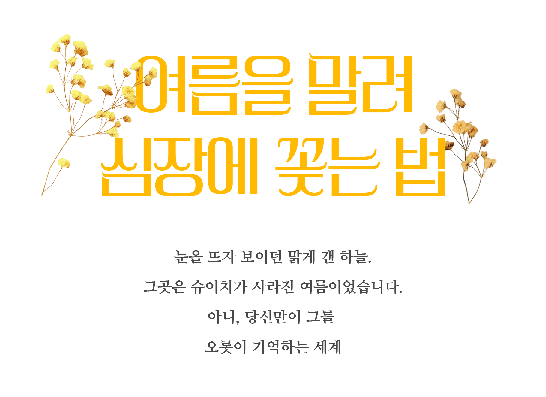 여름법 타이틀