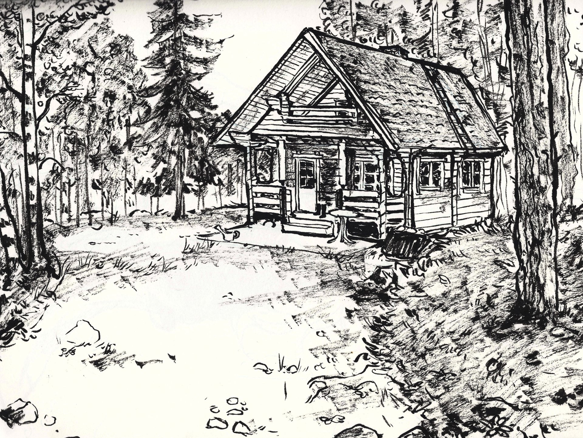 Dana Pivonkova - Forest Cabin Finland